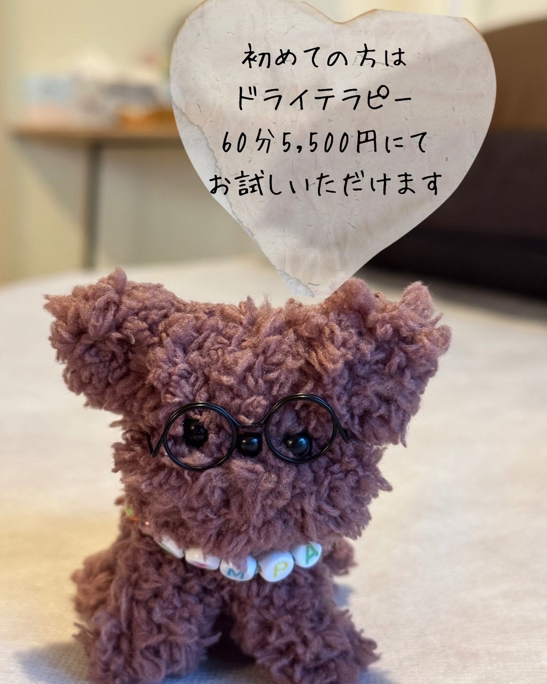 初めてのご来店者さま限定!特別価格のお知らせ